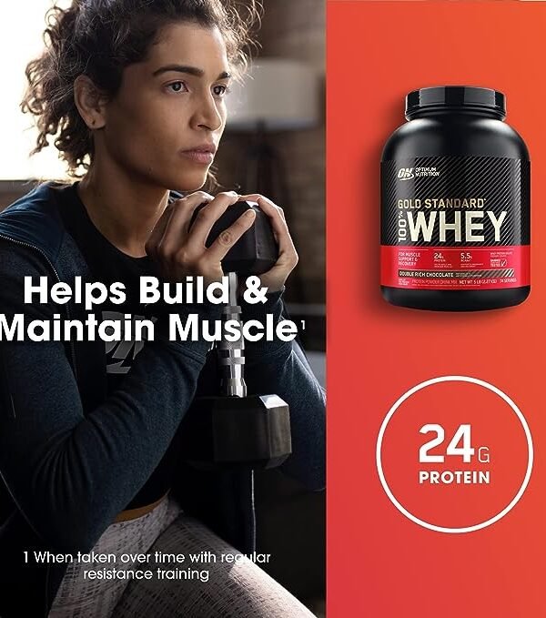 Optimum Nutrition Gold Standard 100% Whey Protein Powder - Best Price in Pakistan | GreyMart