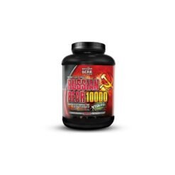 Russian Bear Weight Gainer 3kg Russian Bear 10000 Weight Gainer Vanilla,chocolate,strawberry,milk chocolate, 5 lbs.