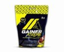 Api Xtreme Mass Gainer 2LB