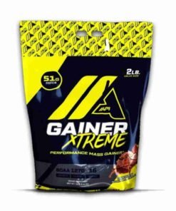 Api Xtreme Mass Gainer 2LB